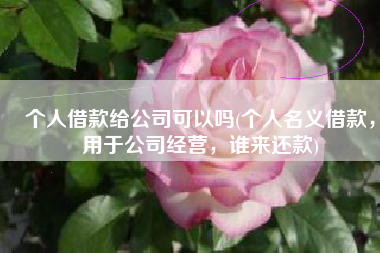 个人借款给公司可以吗(个人名义借款，用于公司经营，谁来还款)