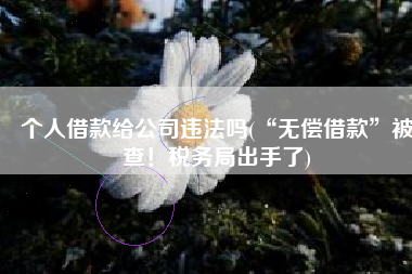 个人借款给公司违法吗(“无偿借款”被查！税务局出手了)