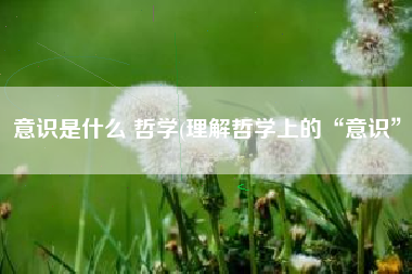 意识是什么 哲学(理解哲学上的“意识”)
