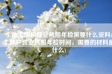 个体工商户营业执照年检需要什么资料(个体户营业执照年检时间，需要的材料是什么)