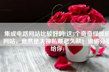 集成电路网站比较好的(这3个奇奇怪怪的网站，竟然是大神私藏已久款！偷偷分享给你)