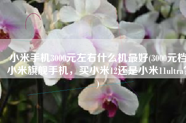 小米手机3000元左右什么机最好(3000元档小米旗舰手机，买小米12还是小米11ultra？)