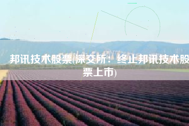 邦讯技术股票(深交所：终止邦讯技术股票上市)