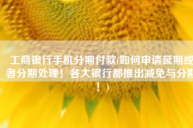 工商银行手机分期付款(如何申请延期或者分期处理！各大银行都推出减免与分期！)
