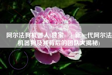 阿尔法狗机器人(独家 | 新一代阿尔法机器狗及其背后的团队大揭秘)