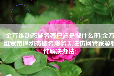 金万维动态域名客户端是做什么的(金万维宽带通动态域名服务无法访问管家婆软件解决办法)