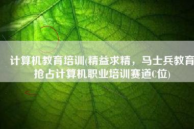 计算机教育培训(精益求精，马士兵教育抢占计算机职业培训赛道C位)