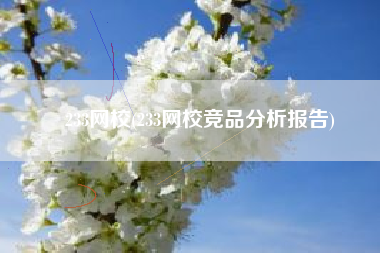 233网校(233网校竞品分析报告)