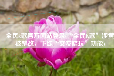 全民k歌官方网站登录(“全民K歌”涉黄被整改，下线“交友陪玩”功能)