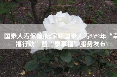 国泰人寿保险(陆家嘴国泰人寿2022年“幸福行动”暨“泰享福”服务发布)