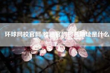 环球网校官网(雅思官网报名地址是什么)