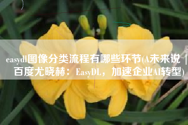 easydl图像分类流程有哪些环节(A未来说 | 百度尤晓赫：EasyDL，加速企业AI转型)