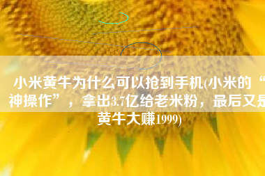 小米黄牛为什么可以抢到手机(小米的“神操作”，拿出3.7亿给老米粉，最后又是黄牛大赚1999)