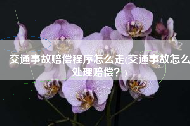 交通事故赔偿程序怎么走(交通事故怎么处理赔偿？)