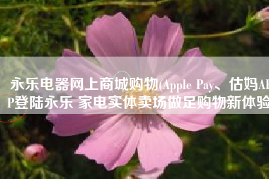永乐电器网上商城购物(Apple Pay、估妈APP登陆永乐 家电实体卖场做足购物新体验)