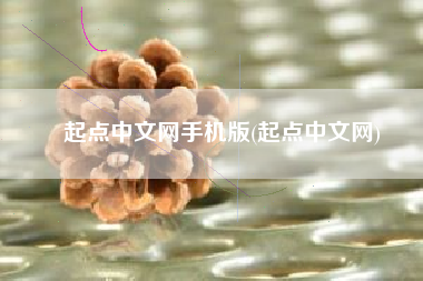 起点中文网手机版(起点中文网)