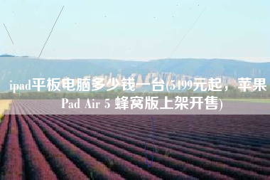 ipad平板电脑多少钱一台(5499元起，苹果 iPad Air 5 蜂窝版上架开售)