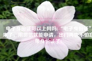 电子身份证可以上网吗(“电子身份证”来了，用微信就能申请，出门再也不怕忘带身份证了)