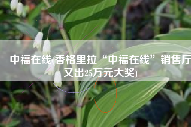 中福在线(香格里拉“中福在线”销售厅又出25万元大奖)