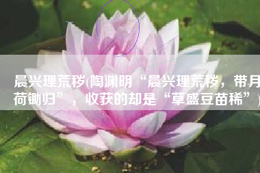 晨兴理荒秽(陶渊明“晨兴理荒秽，带月荷锄归”，收获的却是“草盛豆苗稀”)