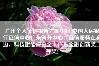 广州个人征信报告去哪里打(中国人民银行征信中心广东省分中心：征信服务在身边，科技赋能保安全｜广东金融创新奖二等奖)