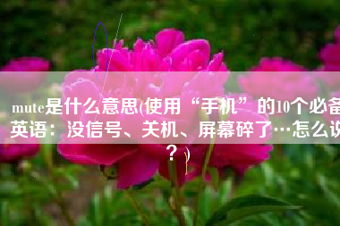 mute是什么意思(使用“手机”的10个必备英语：没信号、关机、屏幕碎了…怎么说？)