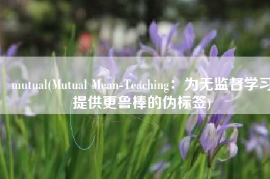 mutual(Mutual Mean-Teaching：为无监督学习提供更鲁棒的伪标签)