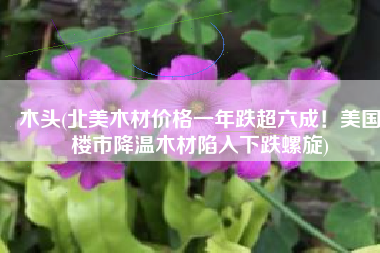 木头(北美木材价格一年跌超六成！美国楼市降温木材陷入下跌螺旋)