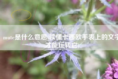 mute是什么意思(读懂卡西欧手表上的文字才能玩转它)