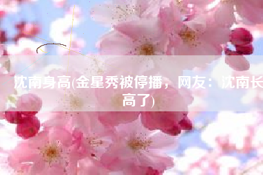 沈南身高(金星秀被停播，网友：沈南长高了)