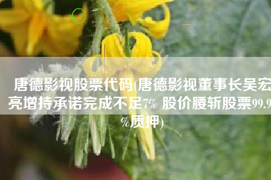 唐德影视股票代码(唐德影视董事长吴宏亮增持承诺完成不足7% 股价腰斩股票99.99%质押)