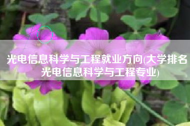 光电信息科学与工程就业方向(大学排名｜光电信息科学与工程专业)