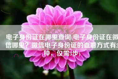 电子身份证在哪里查询(电子身份证在微信哪里？微信电子身份证的查看方式有2种，仅需3步)
