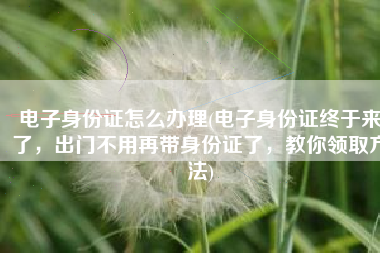 电子身份证怎么办理(电子身份证终于来了，出门不用再带身份证了，教你领取方法)