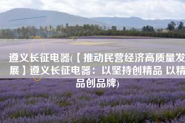 遵义长征电器(【推动民营经济高质量发展】遵义长征电器：以坚持创精品 以精品创品牌)