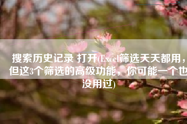 搜索历史记录 打开(Excel筛选天天都用，但这3个筛选的高级功能，你可能一个也没用过)