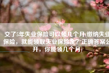 交了5年失业保险可以领几个月(缴纳失业保险，就能领取失业保险金？正确答案公开，你能领几个月)