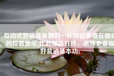 互动式营销最重要的一环网站需要在醒目的位置显示(比起爆品打造，品牌更要做好营销基本功)