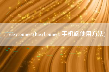 easyconnect(EasyConnect 手机端使用方法)