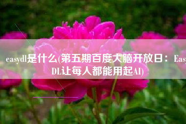 easydl是什么(第五期百度大脑开放日：EasyDL让每人都能用起AI)