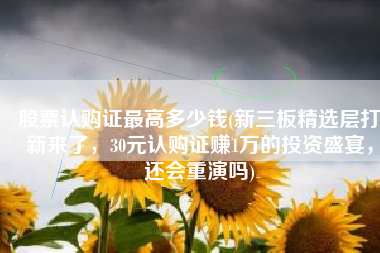 股票认购证最高多少钱(新三板精选层打新来了，30元认购证赚1万的投资盛宴，还会重演吗)