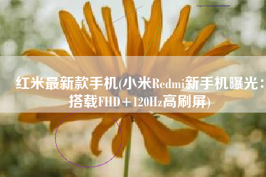 红米最新款手机(小米Redmi新手机曝光：搭载FHD+120Hz高刷屏)