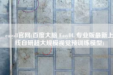 easydl官网(百度大脑 EasyDL 专业版最新上线自研超大规模视觉预训练模型)