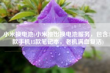 小米换电池(小米推出换电池服务，包含33款手机13款笔记本，老机满血复活)