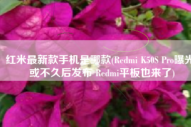 红米最新款手机是哪款(Redmi K50S Pro曝光 或不久后发布 Redmi平板也来了)