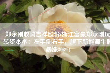 郑永刚收购吉祥股份(浙江富豪郑永刚玩转资本术：左手倒右手，旗下新能源牛股暴涨308%)