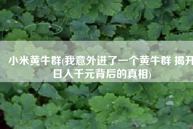 小米黄牛群(我意外进了一个黄牛群 揭开日入千元背后的真相)