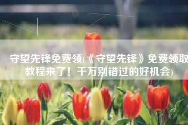 守望先锋免费领(《守望先锋》免费领取教程来了！千万别错过的好机会)