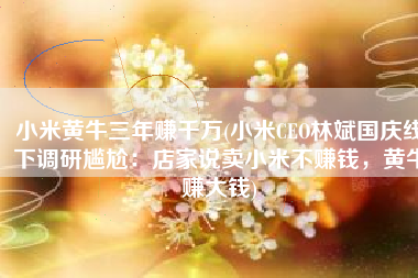 小米黄牛三年赚千万(小米CEO林斌国庆线下调研尴尬：店家说卖小米不赚钱，黄牛赚大钱)