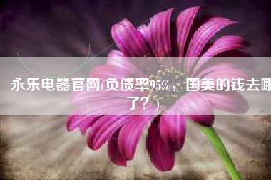 永乐电器官网(负债率95%，国美的钱去哪了？)